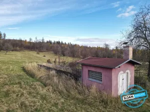 Prodej pozemku pro bydlení, Město Albrechtice, 3681 m2