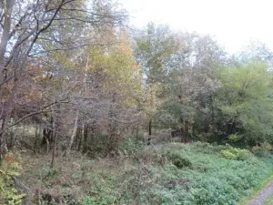 Dražba pole, Jiříkov, 2813 m2