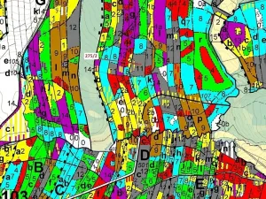 Dražba lesa, Psárov, 4568 m2