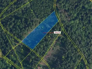 Dražba lesa, Jílové u Držkova, 4305 m2