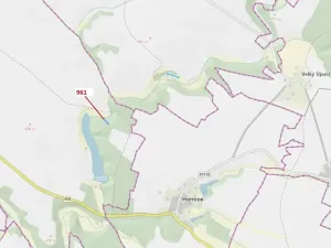 Dražba lesa, Mladoňovice, 961 m2