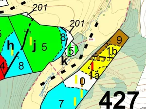 Dražba lesa, Vlašim, 838 m2