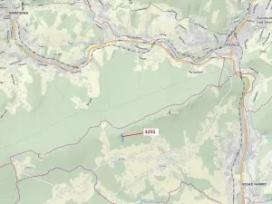 Dražba lesa, Velké Hamry, 6125 m2