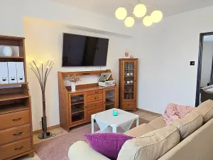 Pronájem bytu 2+1, Písek, Dvořákova, 53 m2