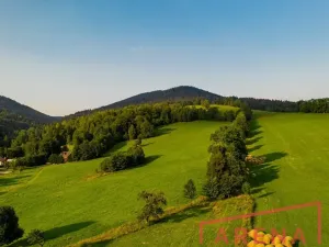 Prodej chalupy, Staré Město, 300 m2