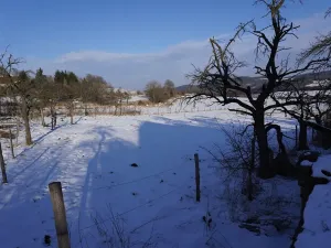 Prodej zemědělské usedlosti, Bukovník, 167 m2