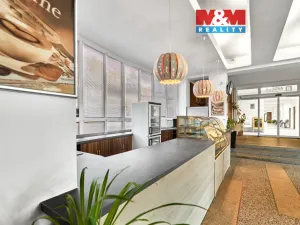 Pronájem obchodního prostoru, Ostrov, Lidická, 120 m2
