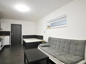 Pronájem bytu 1+kk, Brno, Jeneweinova, 36 m2