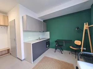 Pronájem bytu 1+kk, Brno, Dominikánské náměstí, 20 m2