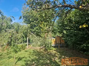 Prodej chalupy, Uherský Brod, Brodská, 378 m2