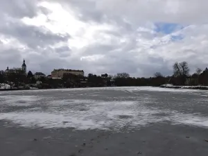 Pronájem bytu 1+kk, Říčany, Přemyslova, 55 m2