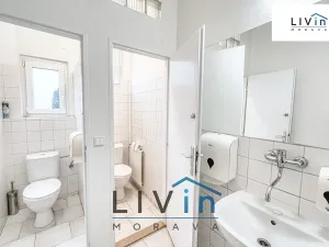 Pronájem kanceláře, Olomouc, Karolíny Světlé, 20 m2