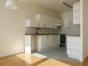 Pronájem bytu 3+1, Praha - Žižkov, Kunešova, 69 m2