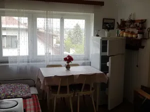 Prodej podílu rodinného domu, Nová Paka, Na Vyhlídce, 120 m2