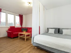 Pronájem bytu 1+1, Ostrava - Hrabůvka, Plzeňská, 37 m2