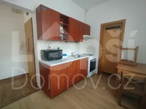Prodej bytu 1+kk, Jeseník, Lipovská, 24 m2