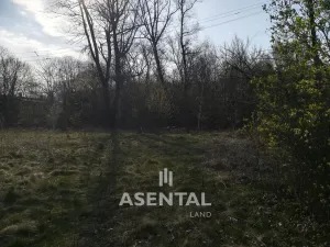 Prodej komerčního pozemku, Ostrava - Slezská Ostrava, Na Baranovci, 7294 m2