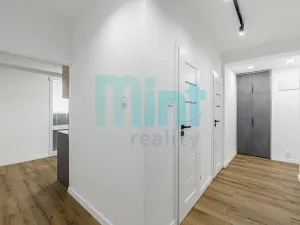 Pronájem bytu 1+1, Ostrava, Alšovo náměstí, 41 m2