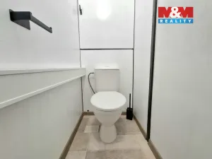 Pronájem bytu 3+1, Ostrov, Lidická, 71 m2