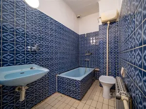 Prodej rodinného domu, České Budějovice - České Budějovice 5, Reinerova, 240 m2