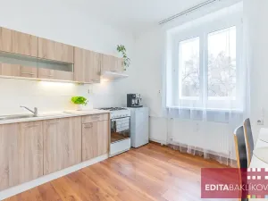 Pronájem bytu 1+1, Olomouc, Dr. Milady Horákové, 39 m2