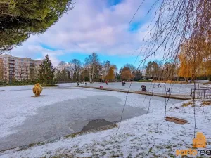 Pronájem bytu 1+1, Ústí nad Labem, Maková, 34 m2