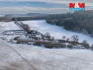 Prodej komerčního pozemku, Kosova Hora, 6131 m2