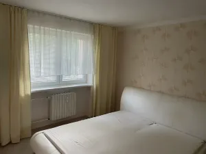 Pronájem bytu 2+1, Ostrava, Edisonova, 58 m2