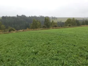 Prodej pozemku, Nové Hrady, 2679 m2