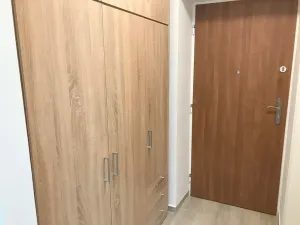 Pronájem bytu 1+1, Frýdek-Místek, Lískovecká, 29 m2