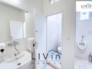 Pronájem obchodního prostoru, Olomouc, Karolíny Světlé, 128 m2