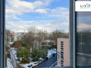 Pronájem obchodního prostoru, Olomouc, Karolíny Světlé, 128 m2