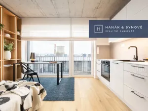 Pronájem bytu 1+kk, Brno, Koliště, 22 m2