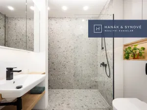 Pronájem bytu 1+kk, Brno, Koliště, 22 m2