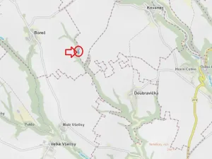 Prodej lesa, Boreč, 3833 m2