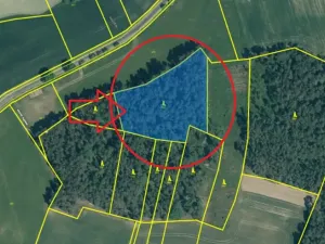 Prodej podílu lesa, Svéradice, 2590 m2