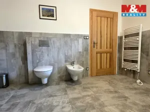 Pronájem bytu 2+1, Mnichov - Vranov, 125 m2