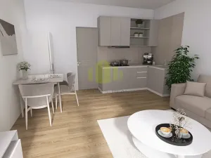 Pronájem bytu 1+kk, Olomouc, Topolová, 38 m2