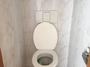 Pronájem bytu 2+kk, Bělušice, 56 m2