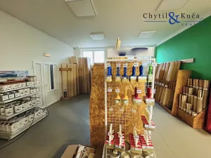 Prodej obchodního prostoru, Bystřice pod Hostýnem, Holešovská, 3567 m2