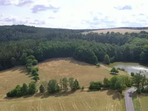 Prodej pole, Nečtiny, 17446 m2