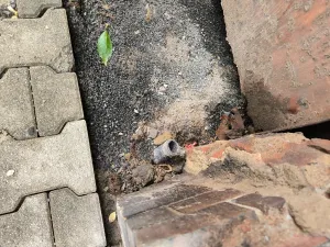 Prodej vícegeneračního domu, Děčín, Litoměřická, 250 m2