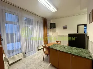 Pronájem bytu 1+1, Vizovice, Lázeňská, 65 m2