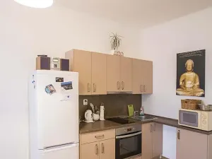 Pronájem bytu 2+kk, Praha - Libeň, Krejčího, 48 m2