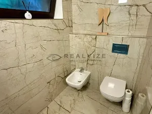 Prodej chaty, Frymburk, 250 m2