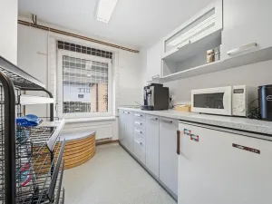 Prodej obchodního prostoru, Kravaře, Hlučínská, 205 m2