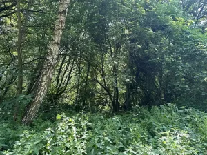 Dražba pozemku, Klášterec nad Ohří, 22680 m2