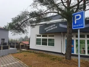 Pronájem bytu 2+1, Jihlava, Přední, 59 m2