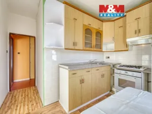 Prodej bytu 2+1, Horní Bříza, Tovární, 55 m2