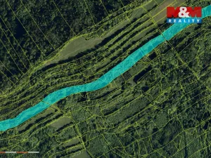 Prodej lesa, Nový Jičín - Straník, 87259 m2